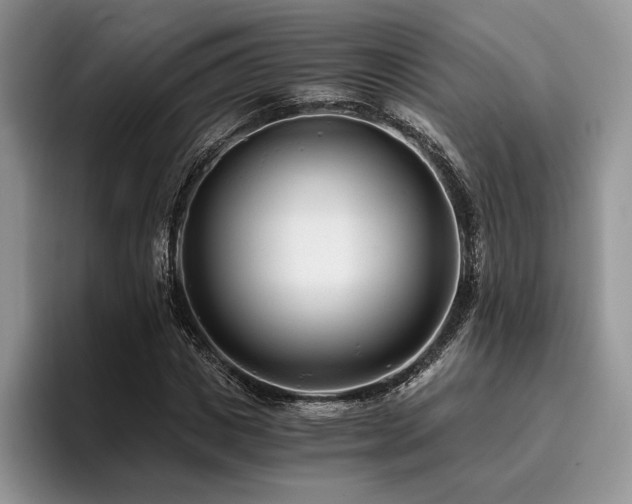 X0000096140825200801181131