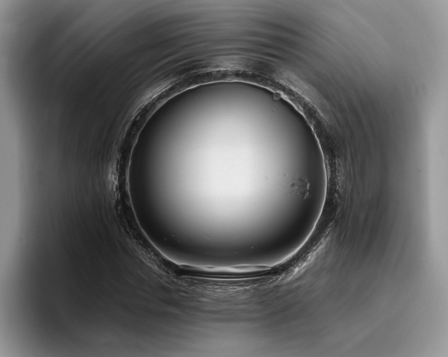X0000096140826200801181131