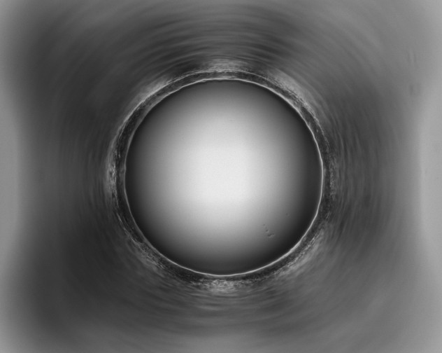 X0000096140827200801181131