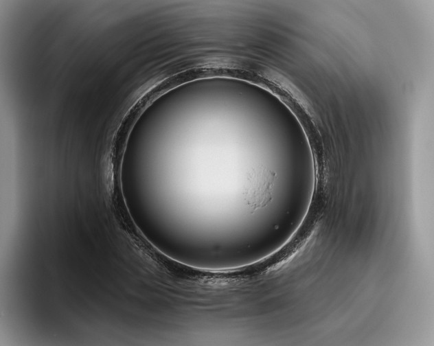 X0000096140829200801181131