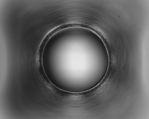 X0000096140830200801181131