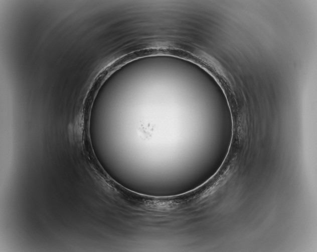 X0000096140831200801181131