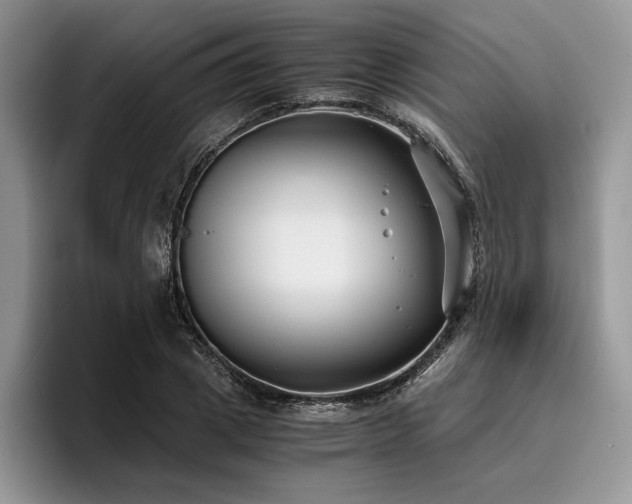 X0000096140833200801181131