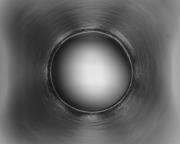 X0000096140834200801181131