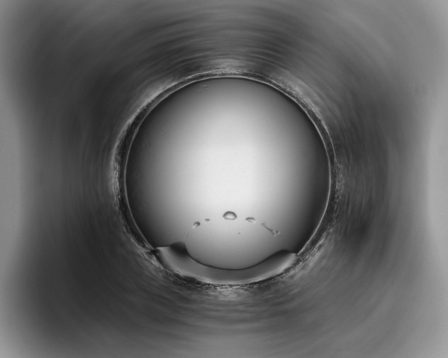 X0000096140835200801181131