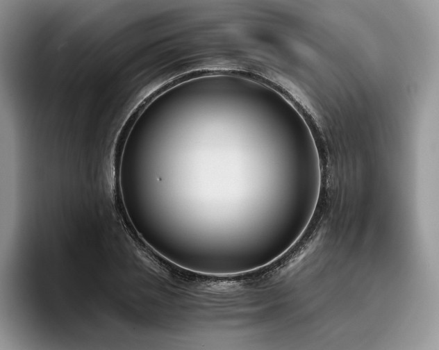X0000096140837200801181131