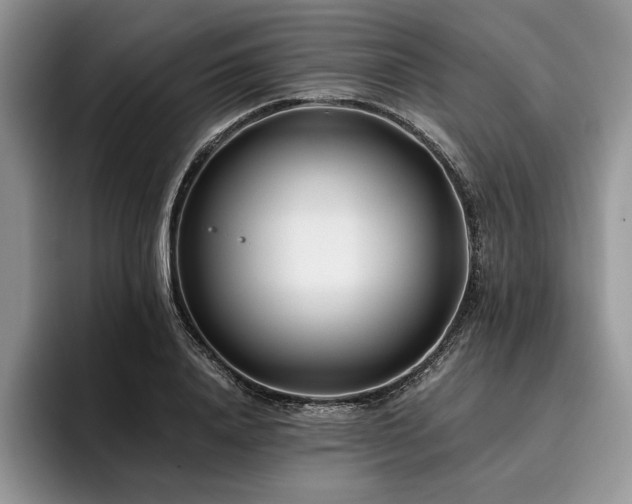 X0000096140840200801181131