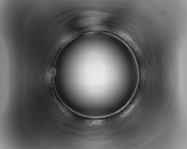 X0000096140841200801181131