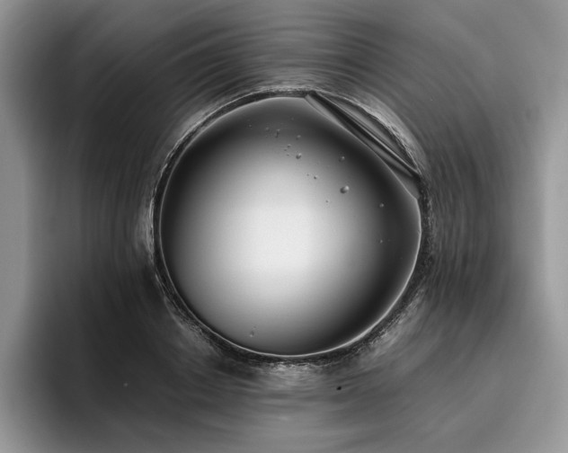 X0000096140842200801181131