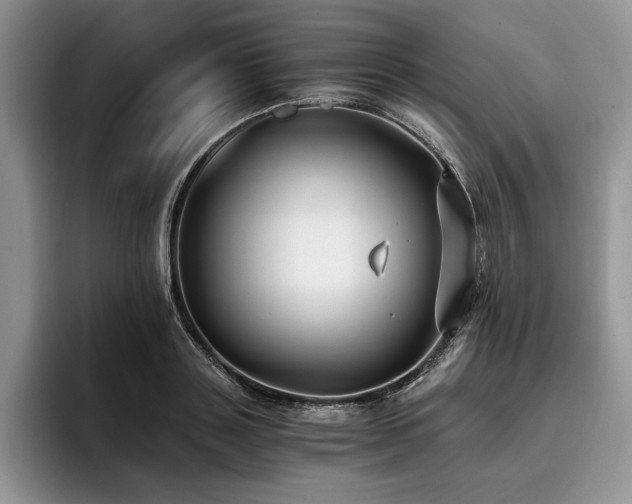X0000096140843200801181131