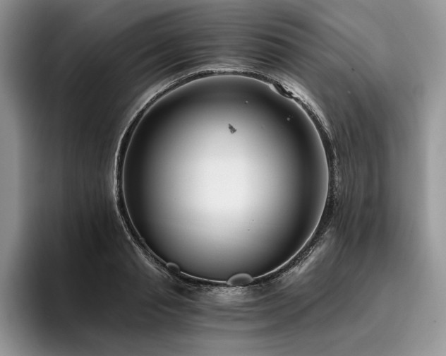 X0000096140845200801181131