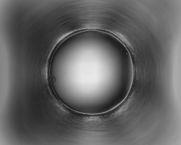 X0000096140846200801181131