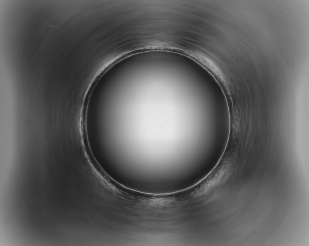 X0000096140847200801181131