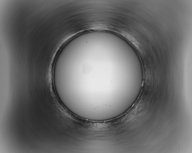 X0000096140848200801181131