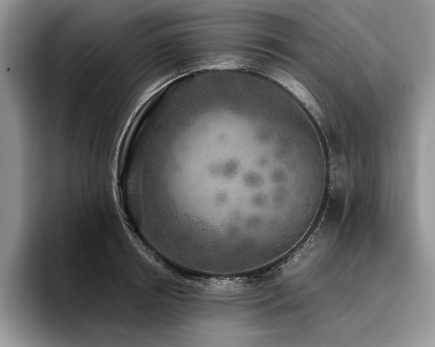X0000096140850200801181131
