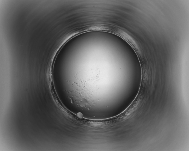 X0000096140852200801181131