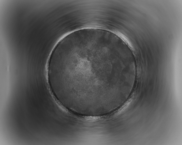 X0000096140854200801181131