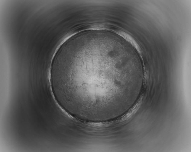 X0000096140855200801181131