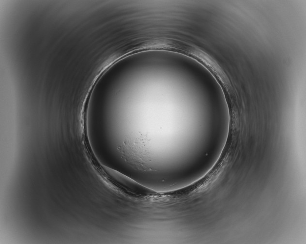 X0000096140858200801181131