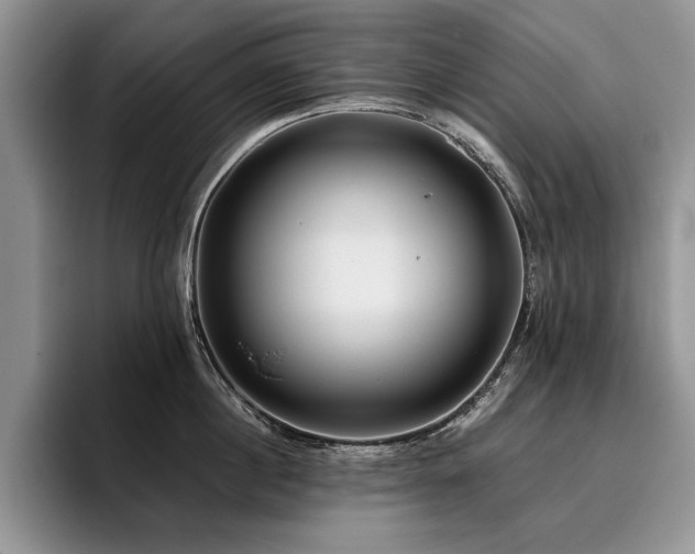 X0000096140860200801181131