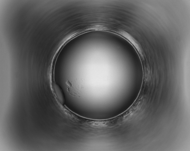 X0000096140861200801181131