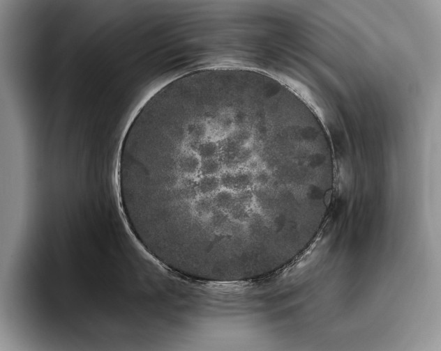 X0000096140863200801181131