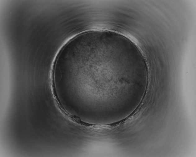 X0000096140864200801181131