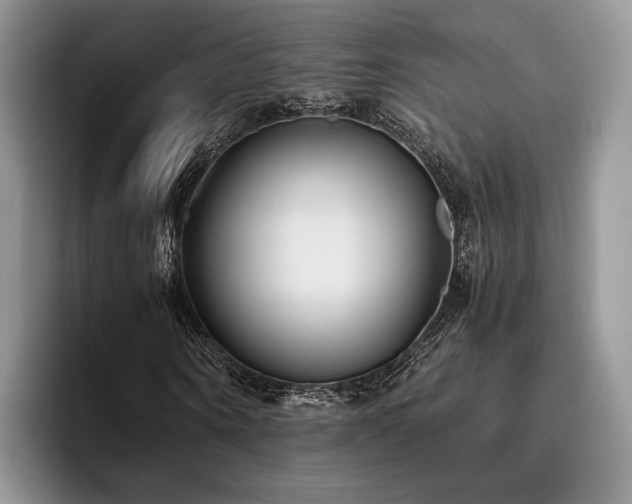 X0000096140866200801181131