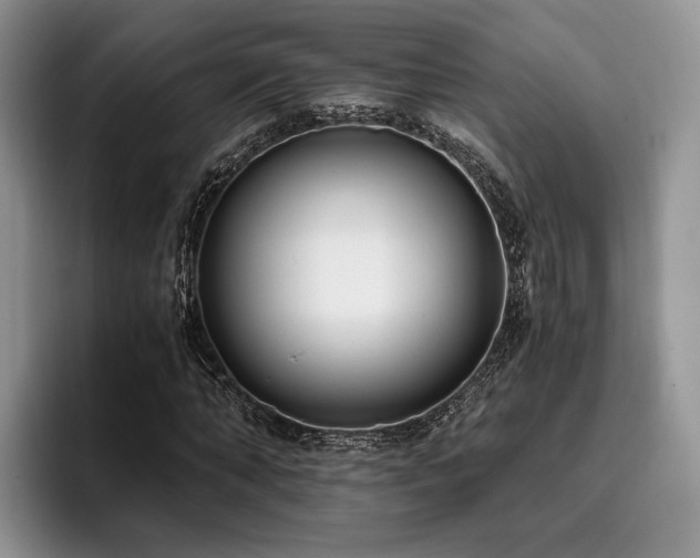 X0000096140870200801181131