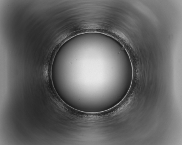 X0000096140873200801181130