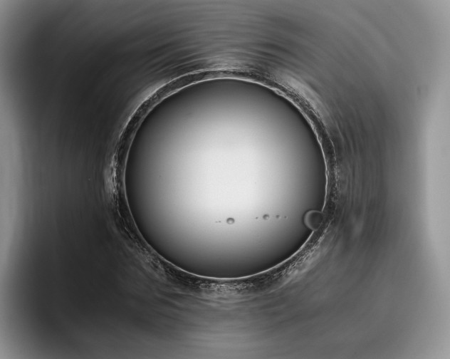 X0000096140875200801181130