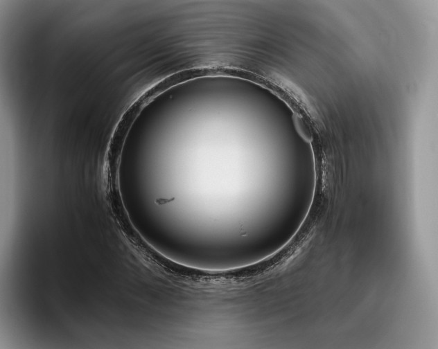 X0000096140876200801181130