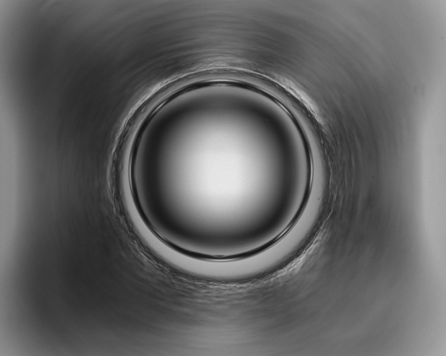 X0000096140877200801181130