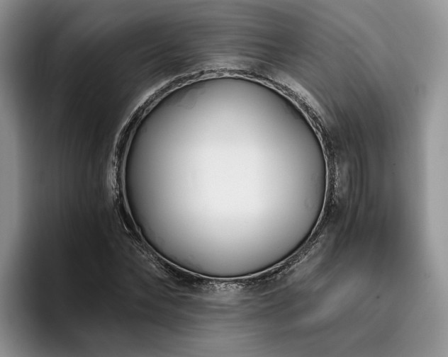 X0000096140878200801181130
