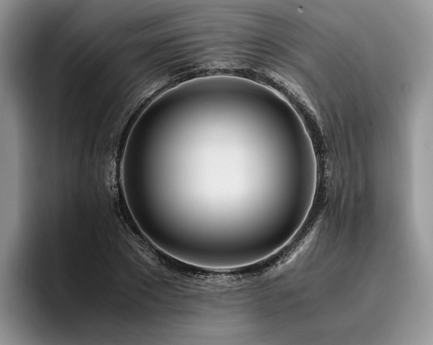 X0000096140881200801181130