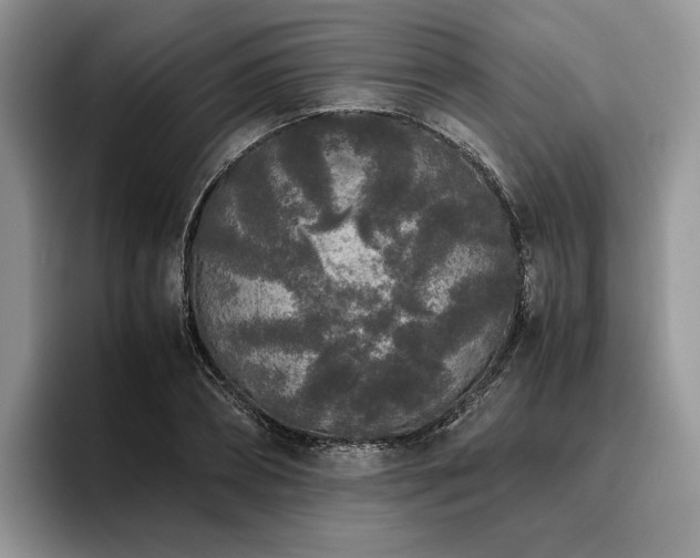 X0000096140882200801181130