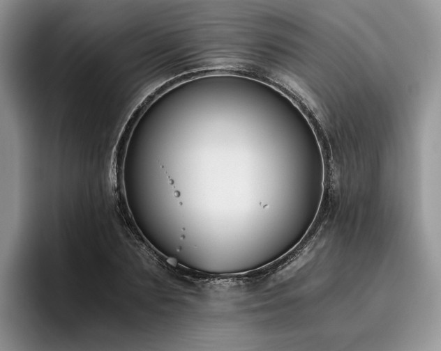 X0000096140883200801181130