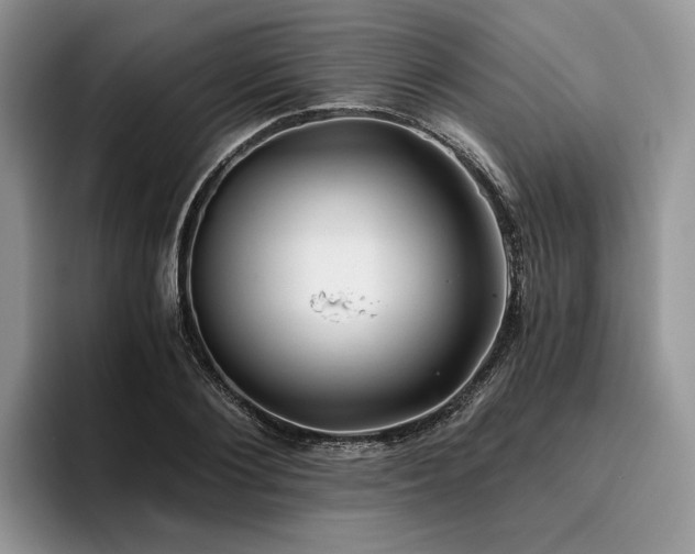 X0000096140884200801181130
