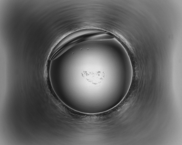 X0000096140885200801181130