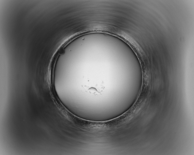 X0000096140886200801181130