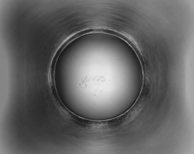 X0000096140887200801181130