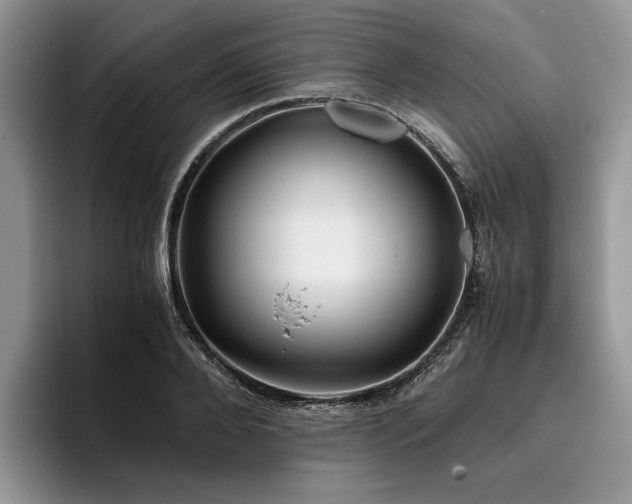 X0000096140888200801181130