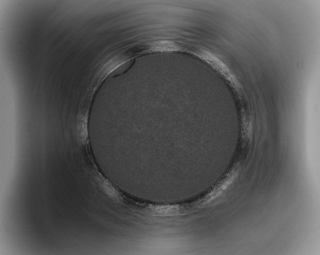 X0000096140889200801181130