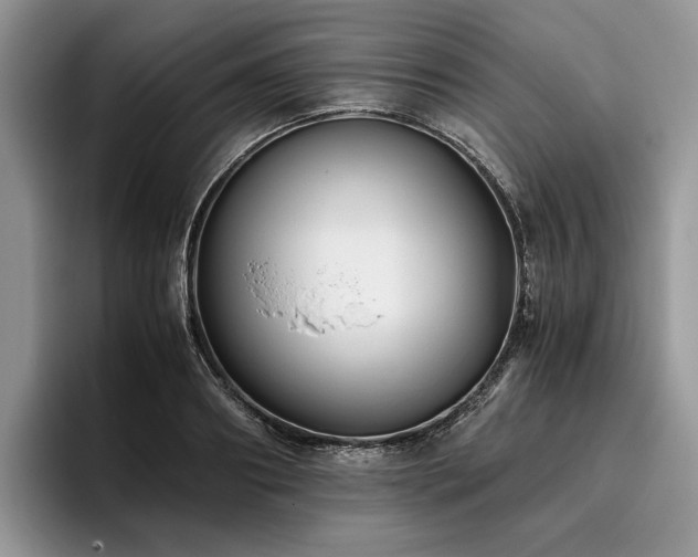 X0000096140890200801181130