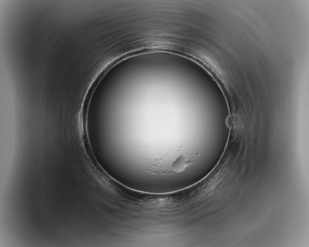 X0000096140891200801181130