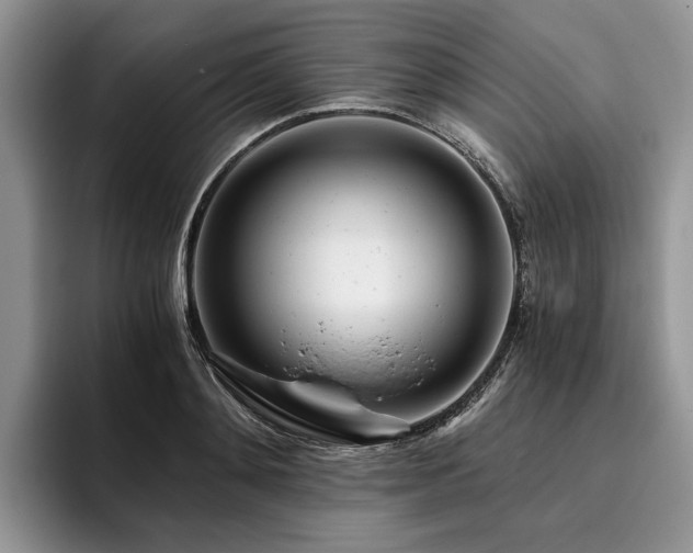 X0000096140892200801181130