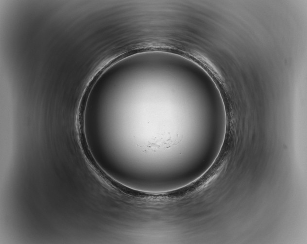 X0000096140893200801181130