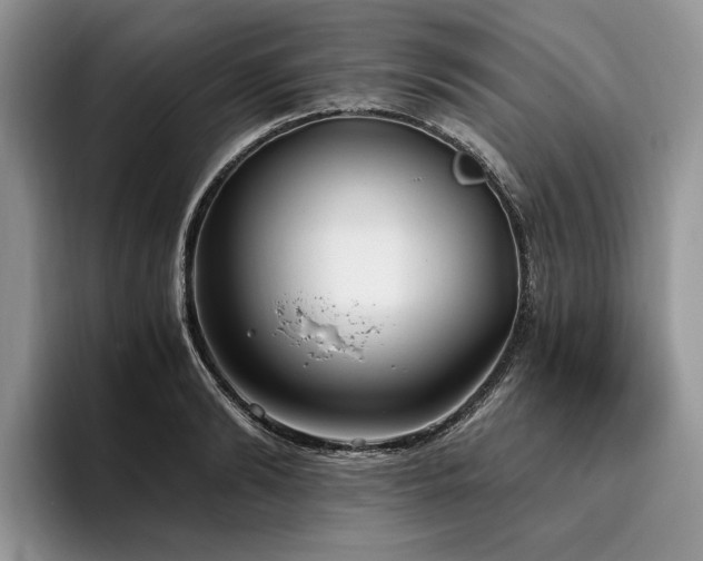 X0000096140894200801181130