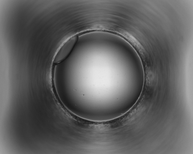 X0000096140896200801181130