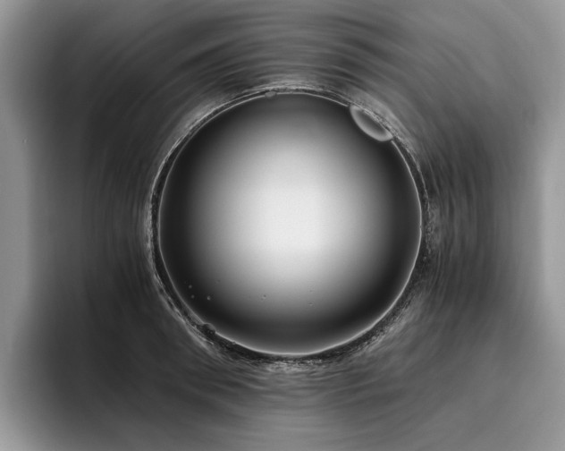 X0000096140898200801181130